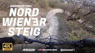 NORDWIENERSTEIG | Radon Slide Trail 8.0 | Drago Palavra