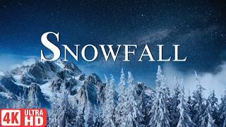 Let it Snow 4K ULTRA HD Video ! Snowfall from around the  workld 4K Video