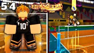 I Played The BEST Anime Volleyball Game On Roblox