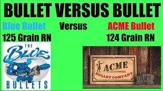 Acme 9mm VS Blue Bullet 9mm