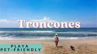 Explorando Troncones, Guerrero con mi perro | playa pet friendly