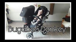 Unser Bugaboo Donkey || Reborn Baby Deutsch