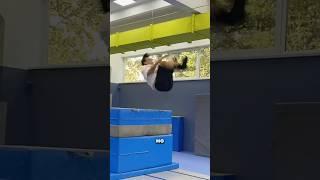 Сальто на ВЫСОТУ  #pkfr #tricks #flips #extreme