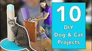 10 DIY Pet Projects for Your Home!