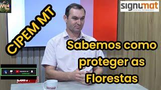 Setor de Base Florestal Brasileiro e o melhor do mundo, rastreabilidade total