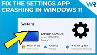 FIX: The Settings app crashes in Windows 11