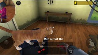 Scary Teacher 3D Free The Cat