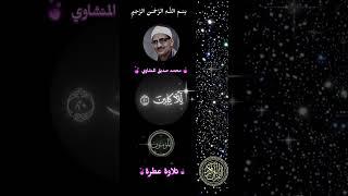 فذكر بالقرآن #قرآن_كريم #قران #يارب #اكسبلور #محمد_صديق_المنشاوي