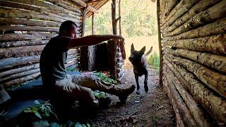 Baue einen Bushcraft-Überlebensunterstand | Outdoor-Camping, Kochen in der Wildnis, Naturabenteuer