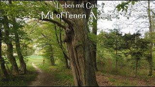 Leben mit Gaia: Mit offenen Augen