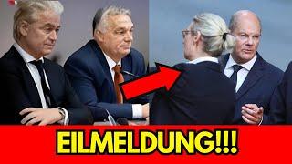 Orbán und Geert Wilders: Schockierende Warnung an das deutsche Volk!!!