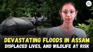 Assam Floods Tragedy: Lives Lost, Thousands Displaced, and Wildlife at Risk