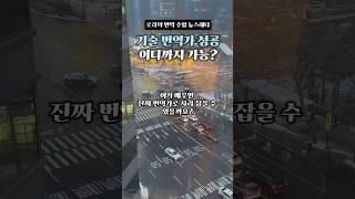기술 번역가 성공 어디까지 가능?(feat.성장 로드맵 4단계) #로라의번역수업 #번역가 #번역가되는법 #영한번역 #번역