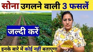 सबसे ज्यादामुनाफे वाली 3 फसलें लगाएं | most profitable farming | farming vegetables | kheti