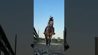 Jumping high on my pony, Louis  #natalia #horseriding #equestrian #pony #louis #horse ￼