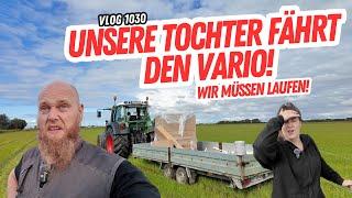 Unsere Tochter fährt den Fendt Vario  - FarmVLOG#1031