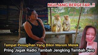 VIRAL...!! Tempat Pesugihan Yang Bikin Merem Melek Di Ngujang Tulungagung