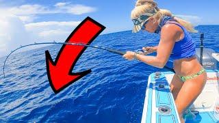 200' DEEP! Dropped a Live Bait Under the Boat & Caught a Sea Monster!