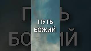 "Ты - Путь Божий, и я - Путь Божий"  Отрывок книги #Антаровой К.Е. #НаукаРадости #ПутьБожий