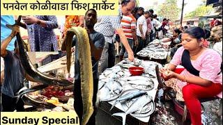 उरण नाका पनवेल कोळीवाड्या मधली मोठी मोठी मासळी । Uran Naka Fish Market Panvel koliwada Navi Mumbai