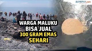 Warga Maluku Bisa Kumpulkan hingga 300 Gram Emas Sehari, Per Gram Dijual Rp 600.000