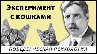 Эдвард Торндайк, эксперимент с кошками в проблемном ящике (поведенческая психология, бихевиоризм)