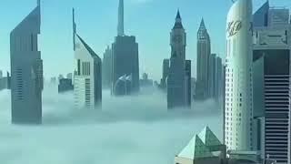Бұл дүниеге адам не үшін келді?