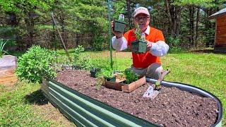 Gardening in Planting Zone 5a and a Tomato Plant Tip