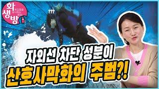 자외선차단제가 산호 사막화의 주범? 하와이가 벤조페논을 금지했다? 불량정보에 휩쓸리지 마세요!
