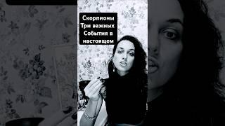 Скорпионы...Что сейчас важно? #таро #tarot #тароонлайн #таролог #магия #раскладтаро