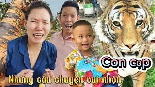 Gấu lầy chính nghĩa và những câu chuyện hài hước vui nhộn