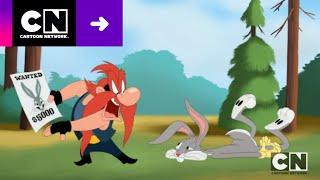 RECOMPENSA POR EL CONEJO | LOONEY TUNES CARTOONS | CARTOON NETWORK