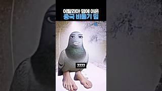 이탈리아 밈에 이은 '중국 비둘기 밈' ㅋㅋㅋ