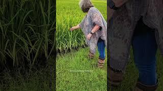 Generational Family Farm on Stewardship & Gratitude 