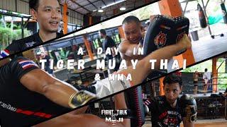 A Day in TIGER MUAY THAI, PHUKET | Fight Talk with Moji