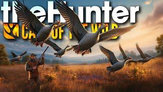 Der LEICHTESTE DIAMANT aller Zeiten?! - Diamant Lodge Serie! | theHunter Call of the Wild