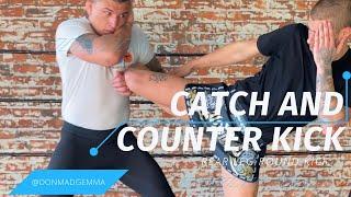 Catch & throw counter option for rear leg round kick