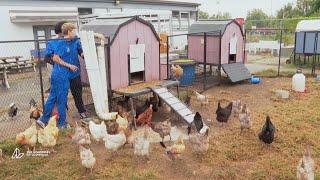 Seneca High School Urban Agriculture Academy