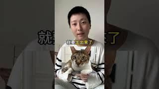 動物知道媽媽懷孕了嗎？ #寵物溝通 #寵物溝通師  #動物溝通師 #動物溝通師 #萌寵