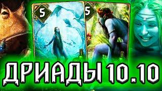 Гвинт СИНИЕ ЖЕНЩИНЫ - патч 10.10 / колода Белок гайд / ведьмак gwent witcher