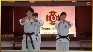 Kumi embu, Shorinji Kempo demonstrations techniques, Hombu. 少林寺拳法 単独演武