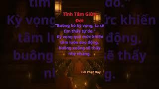 Tĩnh Tâm Giữa Đời #giacngo #phatphap #loiphatday