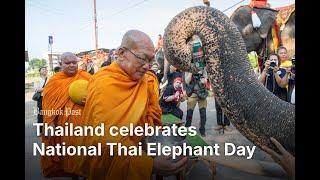 Thailand celebrates National Thai Elephant Day