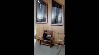 Koyaanisqatsi & Prophecies  - Philip Glass - on church organ