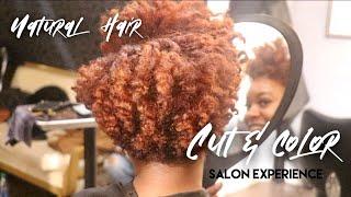 Natural Hair SALON EXPERIENCE! | Hair Cut + Color!!