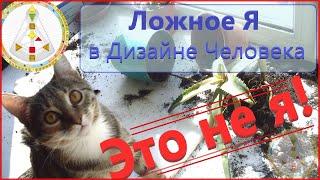 Ложное Я в Дизайне Человека