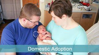 What is Domestic Infant Adoption?