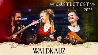 Waldkauz - Dimna Juda (Official Live Performance @ Castlefest 2023)