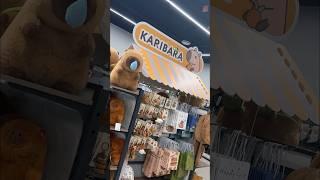 ШОК! НАШЛА РАЙ КАПИБАР В МАГАЗИНЕ KARI