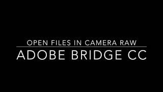 Opening file from Bridge CC into Camera Raw